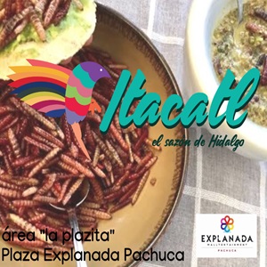 ITACATL
